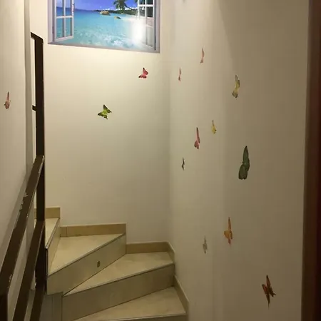 Il Cuore Di Nápoles