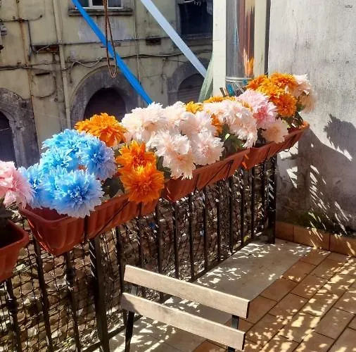 Pensión Il Cuore Di *