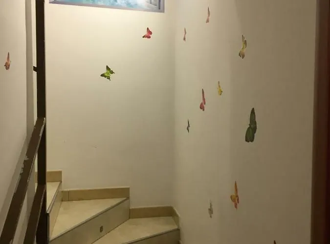 Il Cuore Di Nápoles